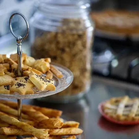 Donedua فيكو إيكوينس