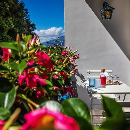 Donedua بيت ضيافة فيكو إيكوينس