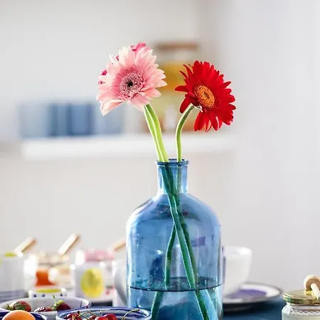 Donedua Vico Equense