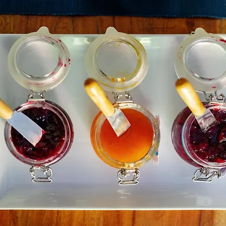 ゲストハウス Donedua